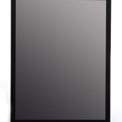 Apple iPad Mini ME215LL/A (16GB) Review