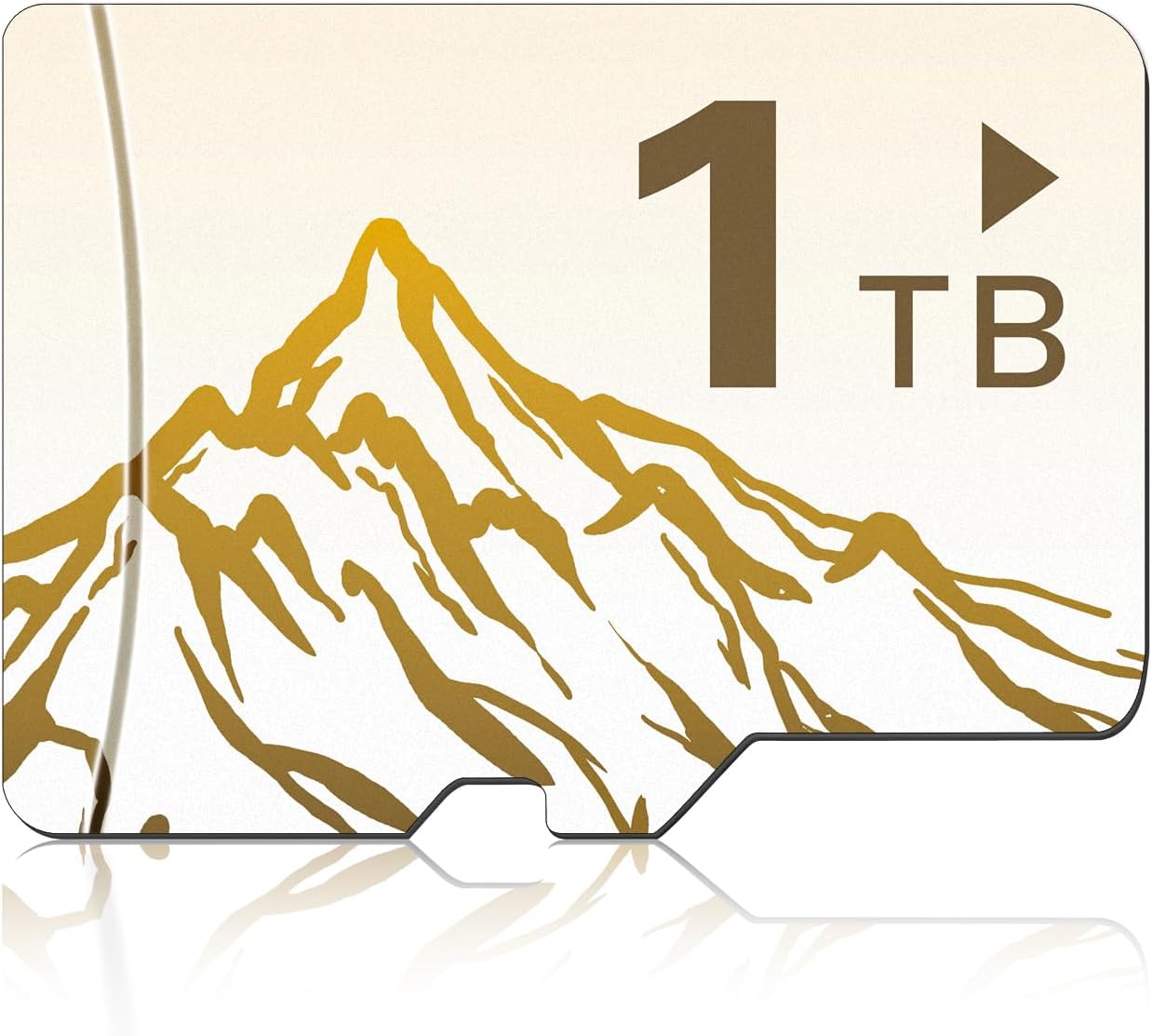 1TB Memory Card Review - Tablet Wizards
